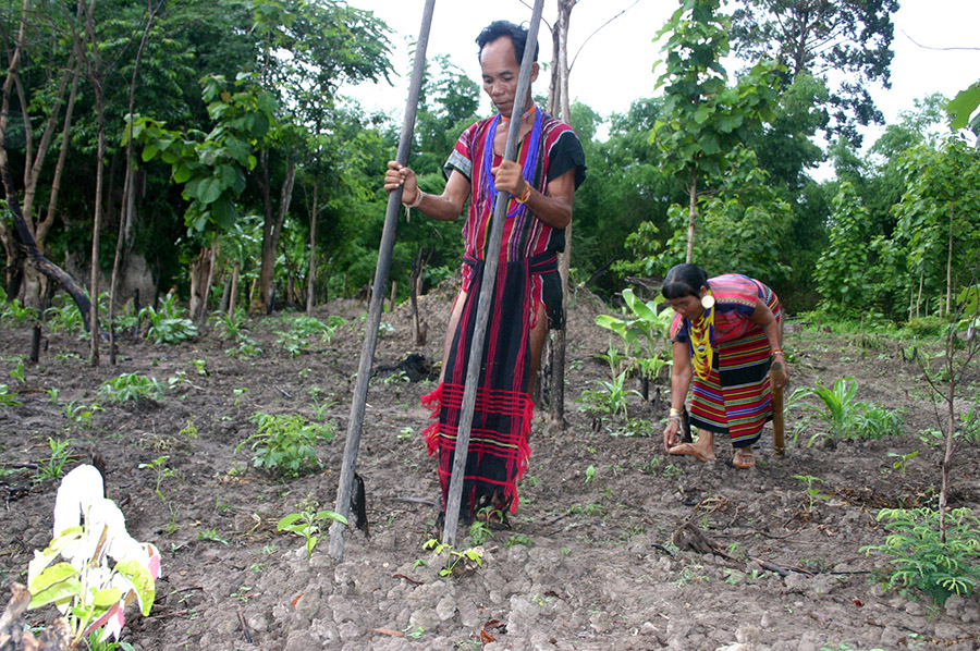 Brao_Couple_Planting_Food