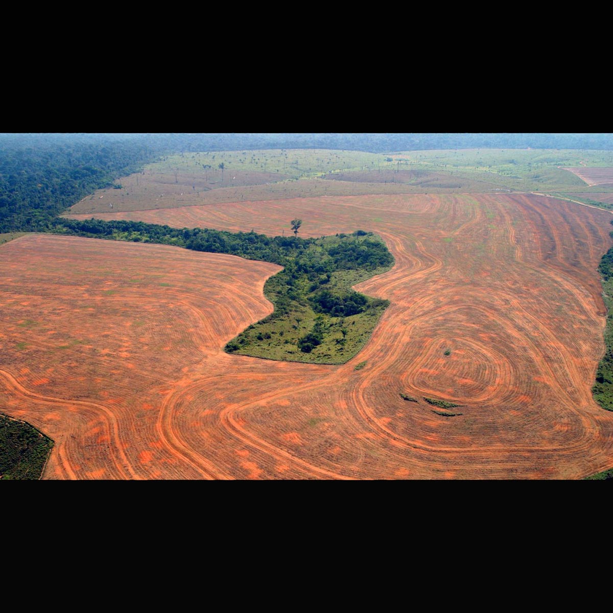 Amazonlar’ın ormansızlaştırması yüzde 18 azaldı