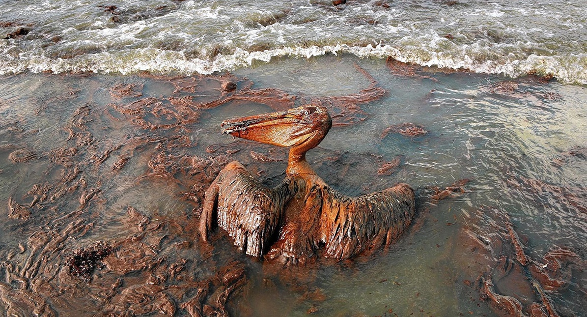 Rusya’daki petrol sızıntısı Karadeniz biyomuna zarar verebilir
