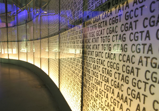 Dna sabit disk 1