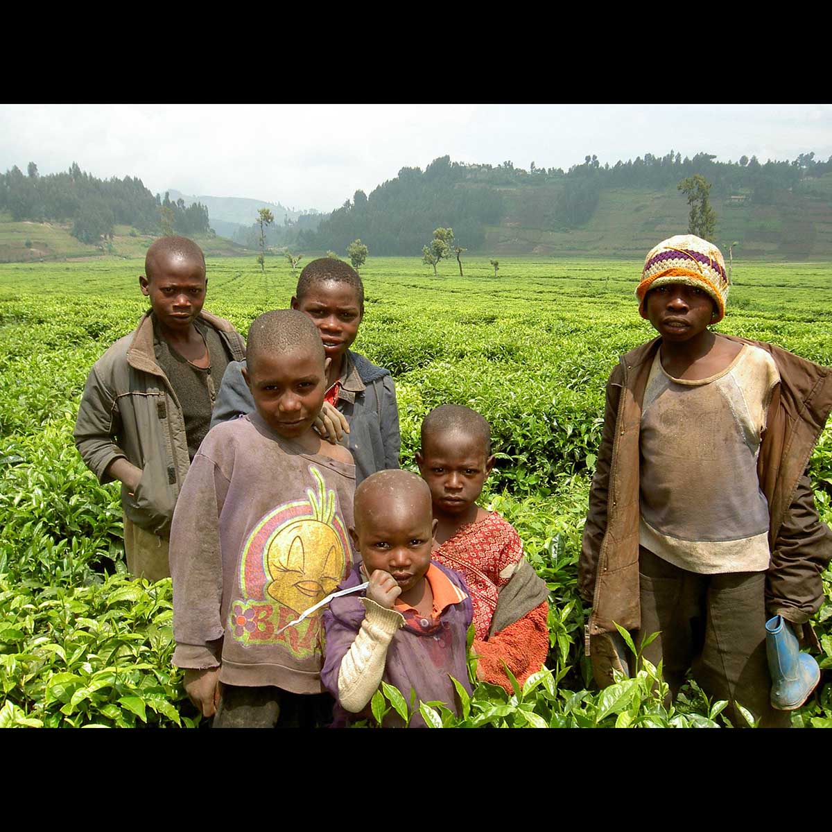 Yeşil ekonomiye geçen Ruanda kazançlı çıktı