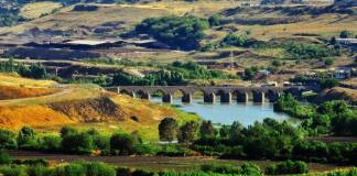 Diyarbakır'da el birliğiyle doğa katliamı sürüyor
