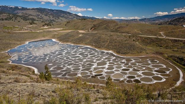 Spotted Lake, British Columbia, Canada (Credit: All Canada Photos / Alamy)