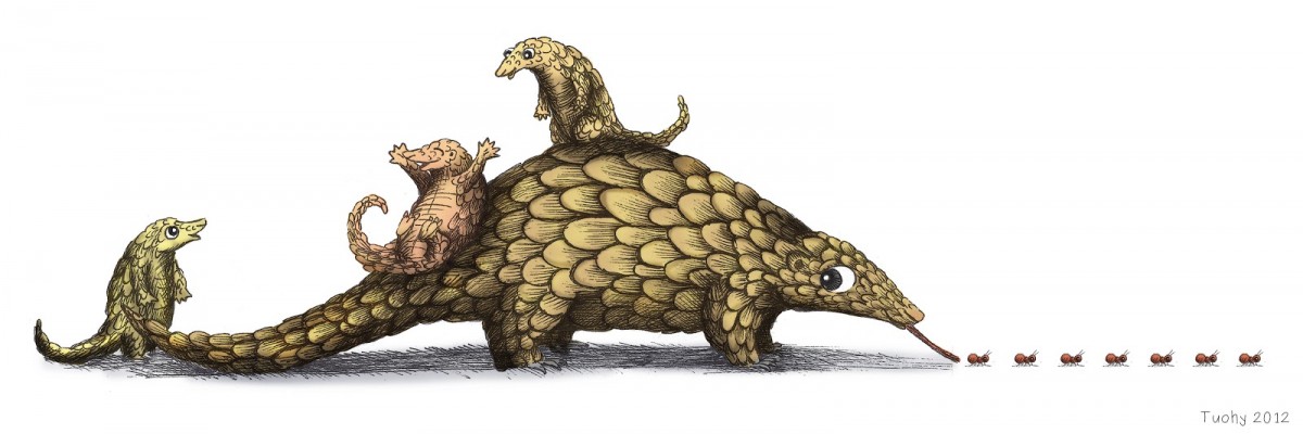 pangolin (1)