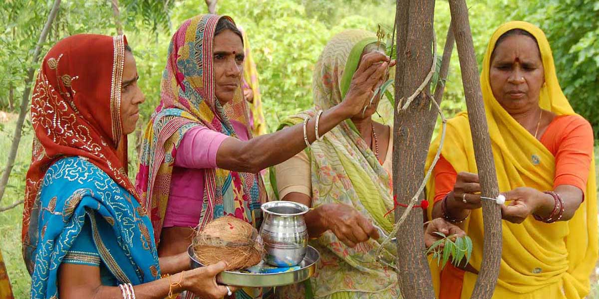 Hindistan’ın ekofeminist geleneği: Orman doğuran kadınlar