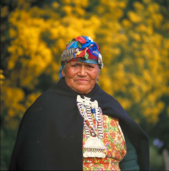 Mapuçe Kültürü