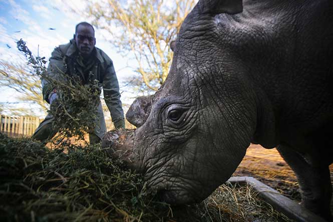 Sudan