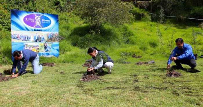 Ekvador Ağaçlandırma Projesi