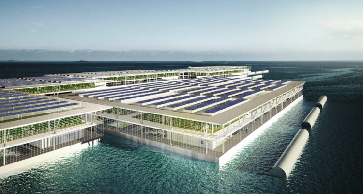 1_solar-floating-farm-750x400