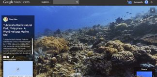 Google'dan Dünya Okyanuslar Günü'ne özel su altı haritalandırma sitesi