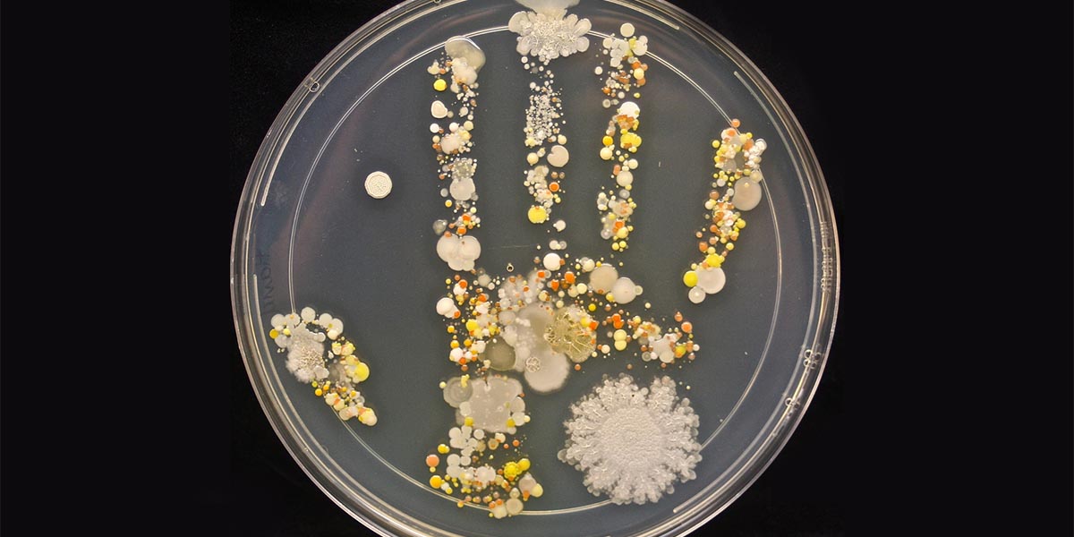 Çocuğunun elindeki mikropları sanatsallaştıran meraklı mikrobiyoloji teknisyeni