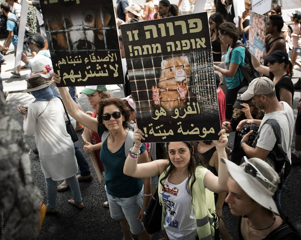 Arap Yahudi Vegan Aktivizm 3