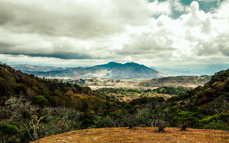Nikaragua vadilerinde yeşile ve sanata adanan hayat Alberto Gutierrez 4