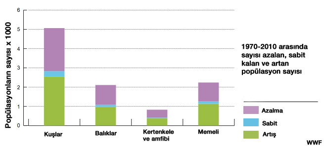 WWF Grafiği 2