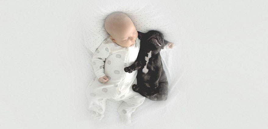 baby-dog-friendship-french-bulldog-ivette-ivens-7