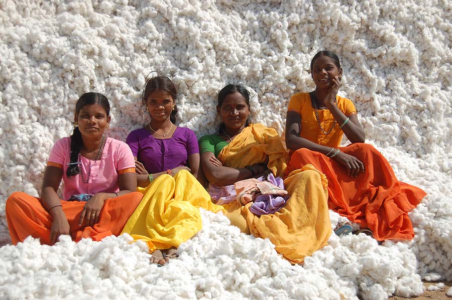 tompkins-point_photo_women-on-cotton