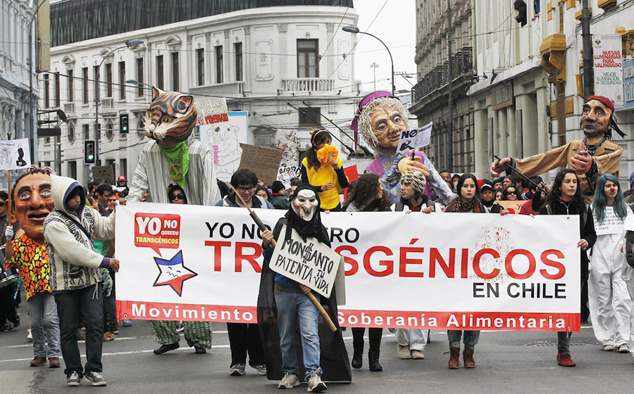 Şili'de 2013 yılında düzenlenen Monsanto karşıtı yürüyüş (Fotoğraf: Eliseo Fernandez)