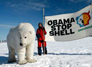 Kuzey Kutbu'ndan mutlu eden gelişme: Shell petrol arama faaliyetlerini durduruyor