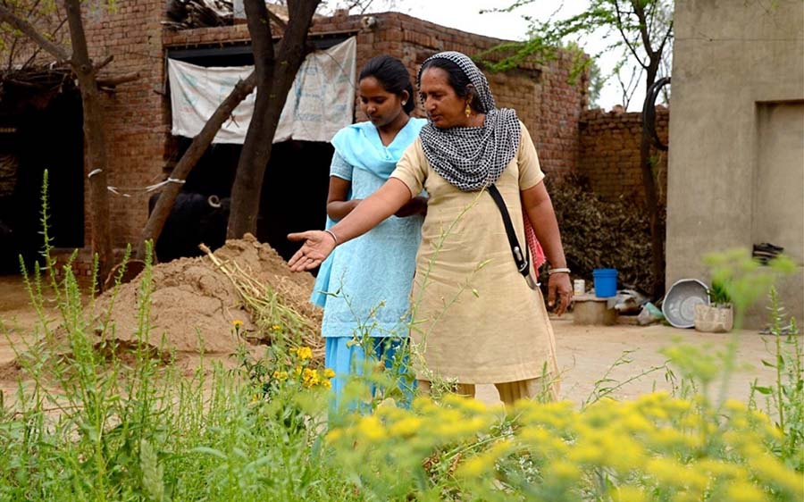 Sürdürülebilir tarım için Hindistan’da yeşeren umutlar 4