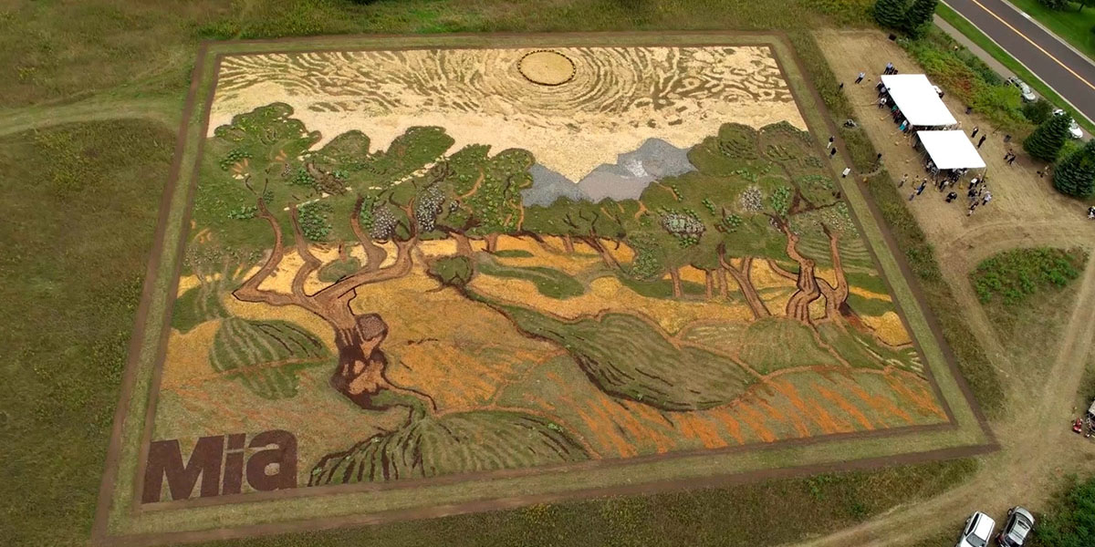 Doğa Ana’nın verdikleriyle yapılan 5 bin metrekarelik Van Gogh tablosu