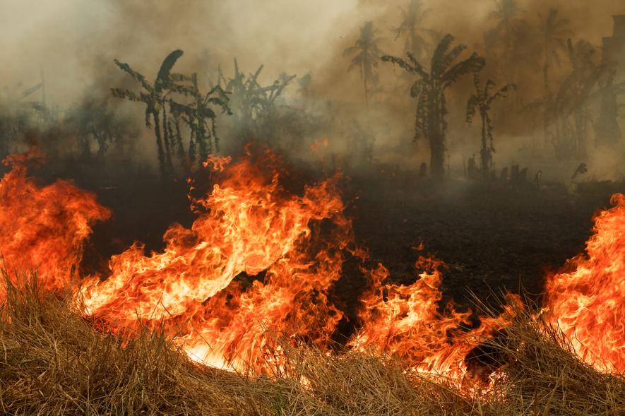 21. yüzyılın en büyük çevre felaketi Endonezya’da yangın ve pus 1