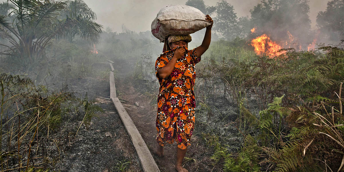 21. yüzyılın en büyük çevre felaketi: Endonezya’da yangın ve pus dinmiyor