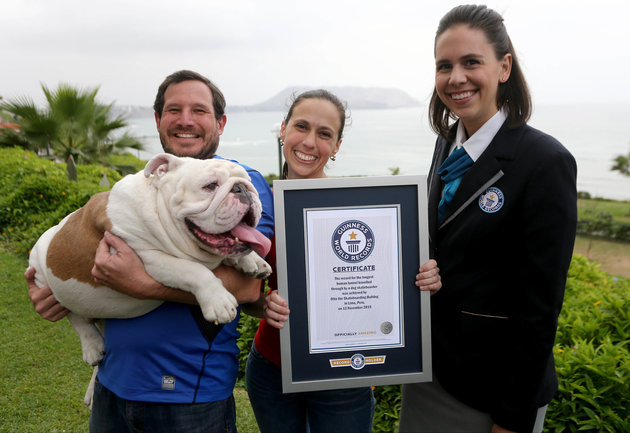 The record for the longest human tunnel travelled through by a dog skateboarder is 30 people and was achieved by Otto the Skateboarding Bulldog in Lima, Peru, in celebration of Guinness World Records Day on 12 November 2015.