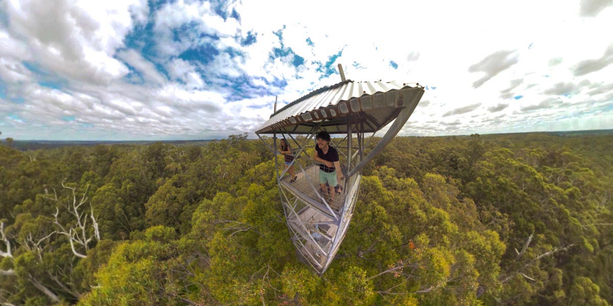 75 metre yükselikteki ağaçtan 360 derecelik inanılmaz bir manzara