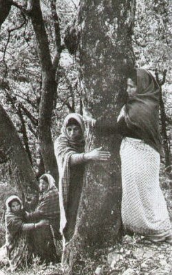 Chipko kadınlari 2