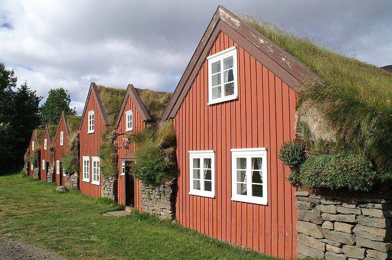 Iceland-Bustarfell-turf