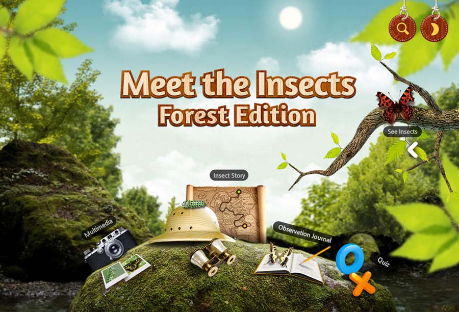 Meet the Insects