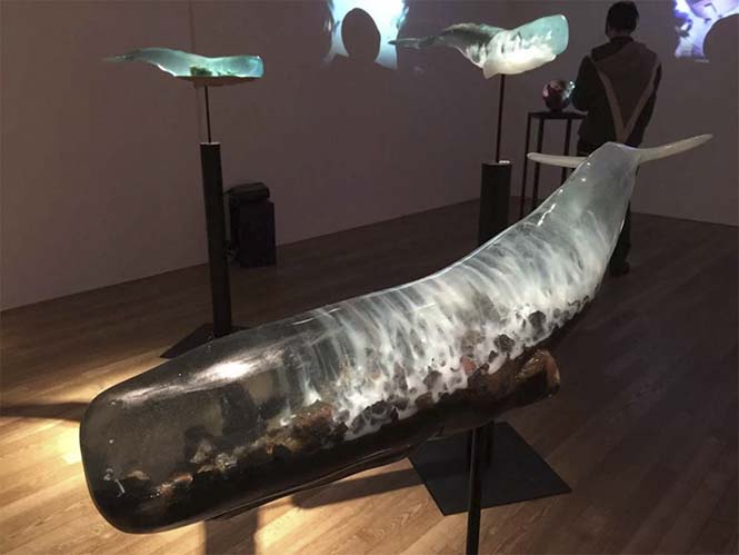 translucent-whale-sculptures-samsara-isana-yamada-11