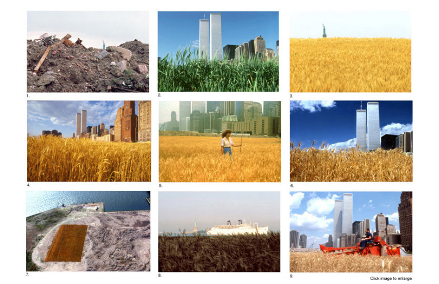 Agnes Denes, Wheatfield, 1982, Courtesy of the artist and Leslie Tonkonow Artworks + Projects