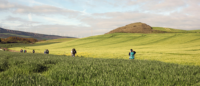 Seyyahların, maceraperestlerin, mistiklerin ve daha çoklarının yolu Camino de Santiago