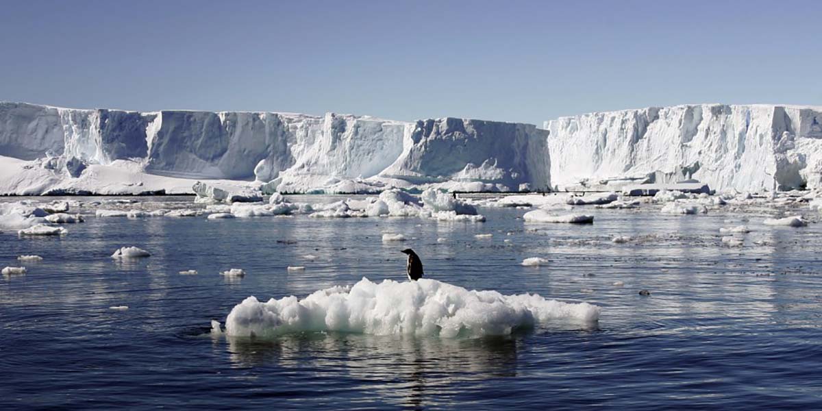 78 kadın iklim değişikliği üzerinde çalışmak için Antartika'ya gitti: Kadınlar keşfi