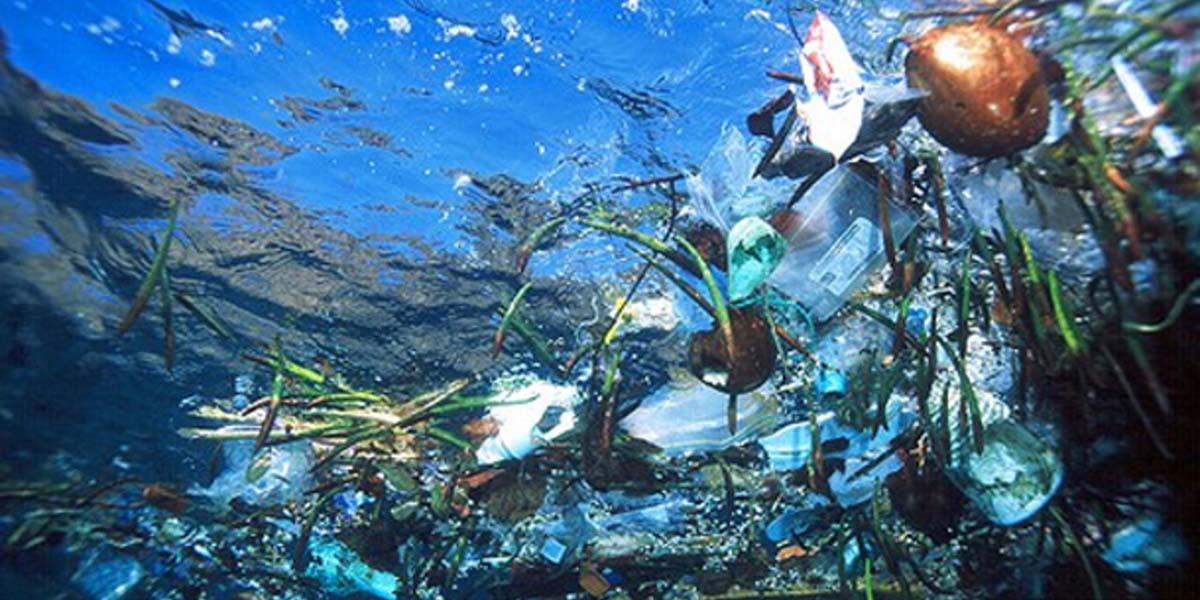 Fransa’da tek kullanımlık plastiklerin üretimini kısıtlayan yasa onaylandı