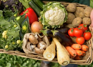 Ekolojik tarım neden ekolojik? - 1 Yerel ve organik gıdaları neden tercih etmeliyiz?
