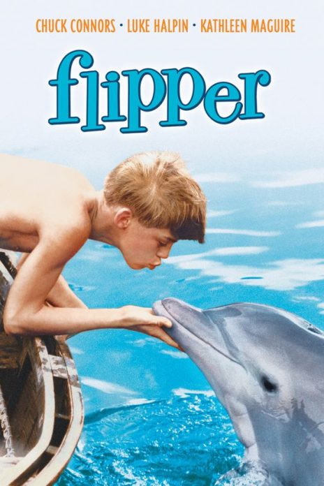 Flipper1-464x696.jpg
