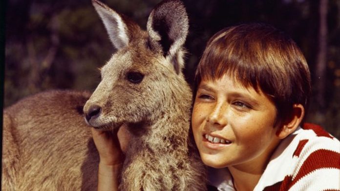 Skippy2-696x392.jpg