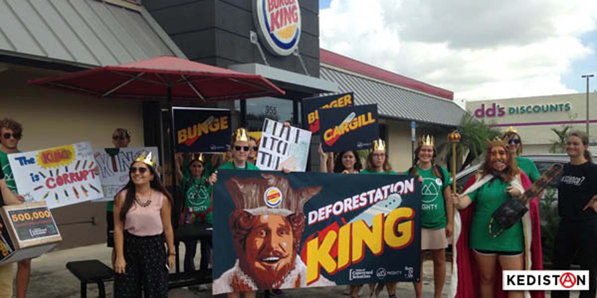 Burger King, et üretimi için Amazon ormanlarını yakıyor