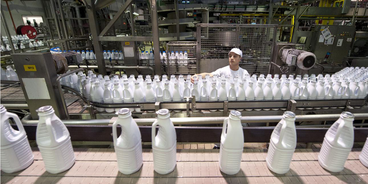 Süt endüstrisi endişeli çünkü örtbas edilmek istenen gerçekler ortaya çıkıyor