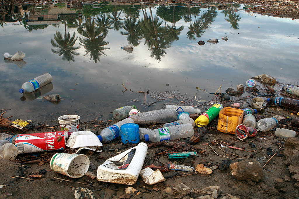 Birleşmiş Milletler, plastiğin okyanus ve deniz yaşamına verdiği zararlar konusunda uyarıyor