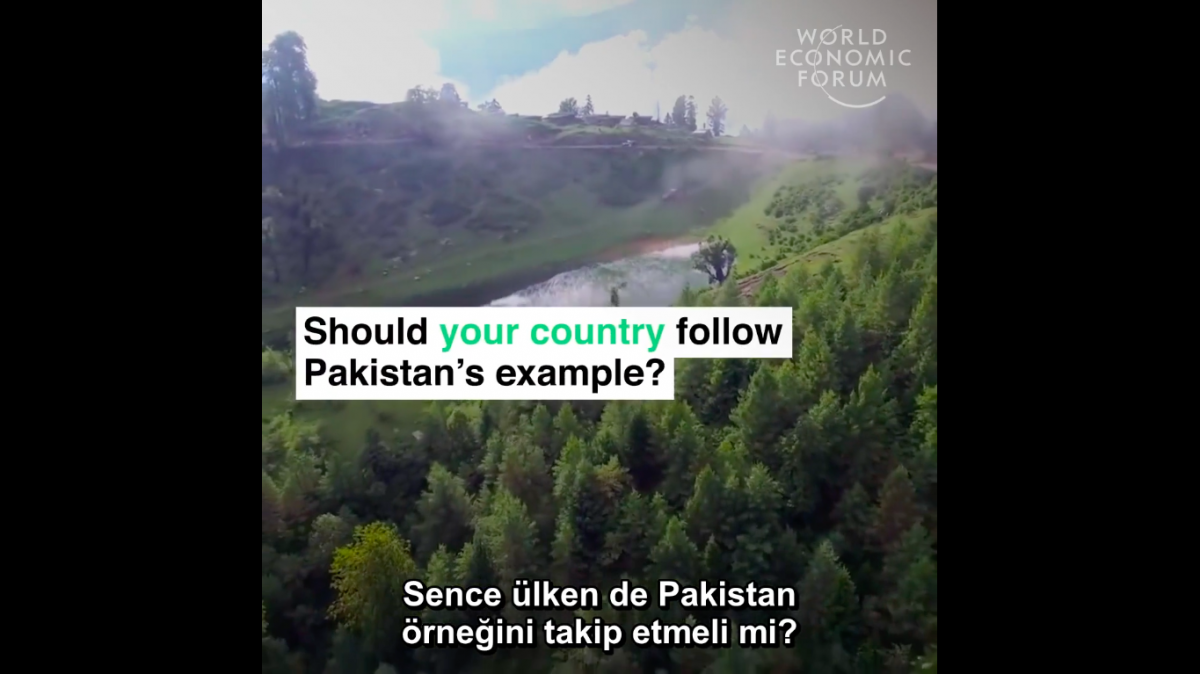 Pakistan bir milyardan fazla ağaç dikiyor I Video