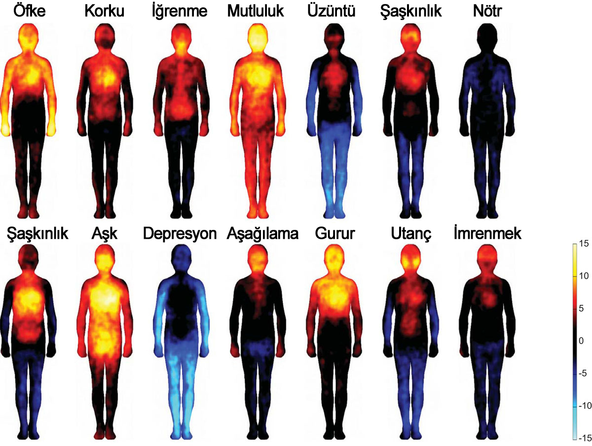Vücut sıcaklığınız tüm yaşamınızı kontrol ediyor olabilir