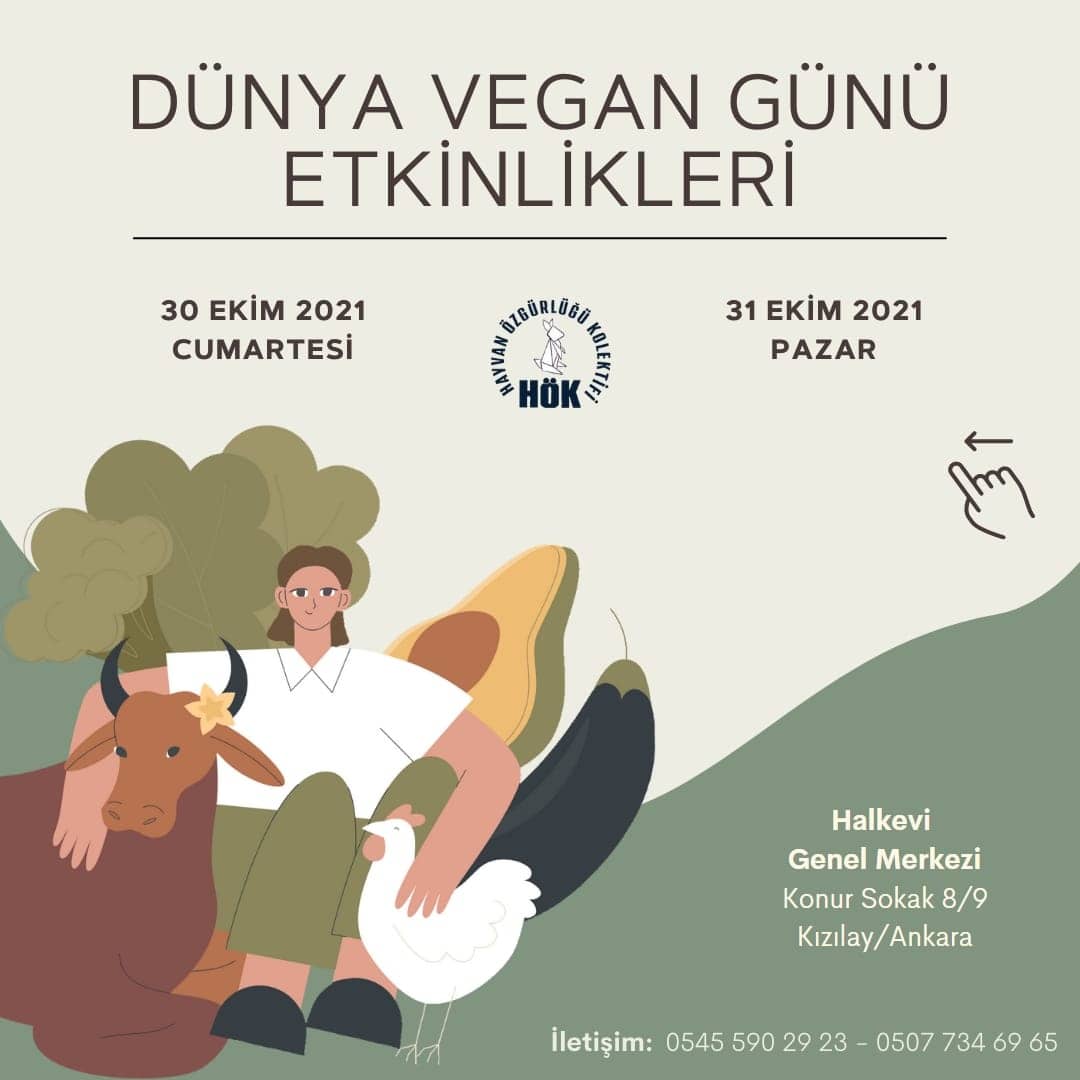 Hayvan Özgürlüğü Kolektifi 1 Kasım Dünya Vegan Günü Ankara etkinlikleri